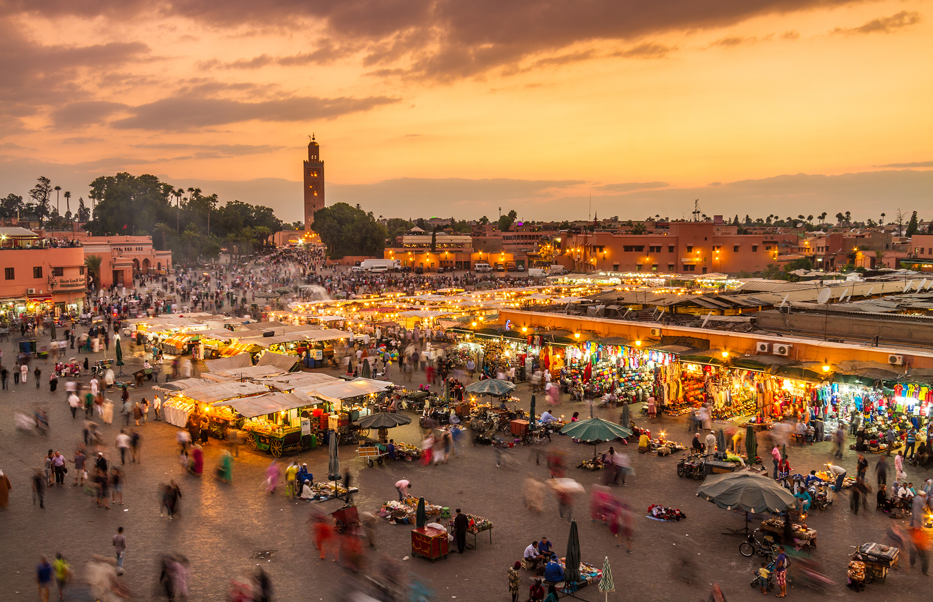 Excursion inoubliable à Marrakech - Histoire, culture et paysages exotiques