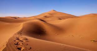 Magische Exkursion in M'Hamid El Ghizlane - Entdecken Sie die Wüste und goldene Sanddünen
