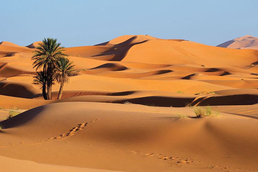 sahara.jpg