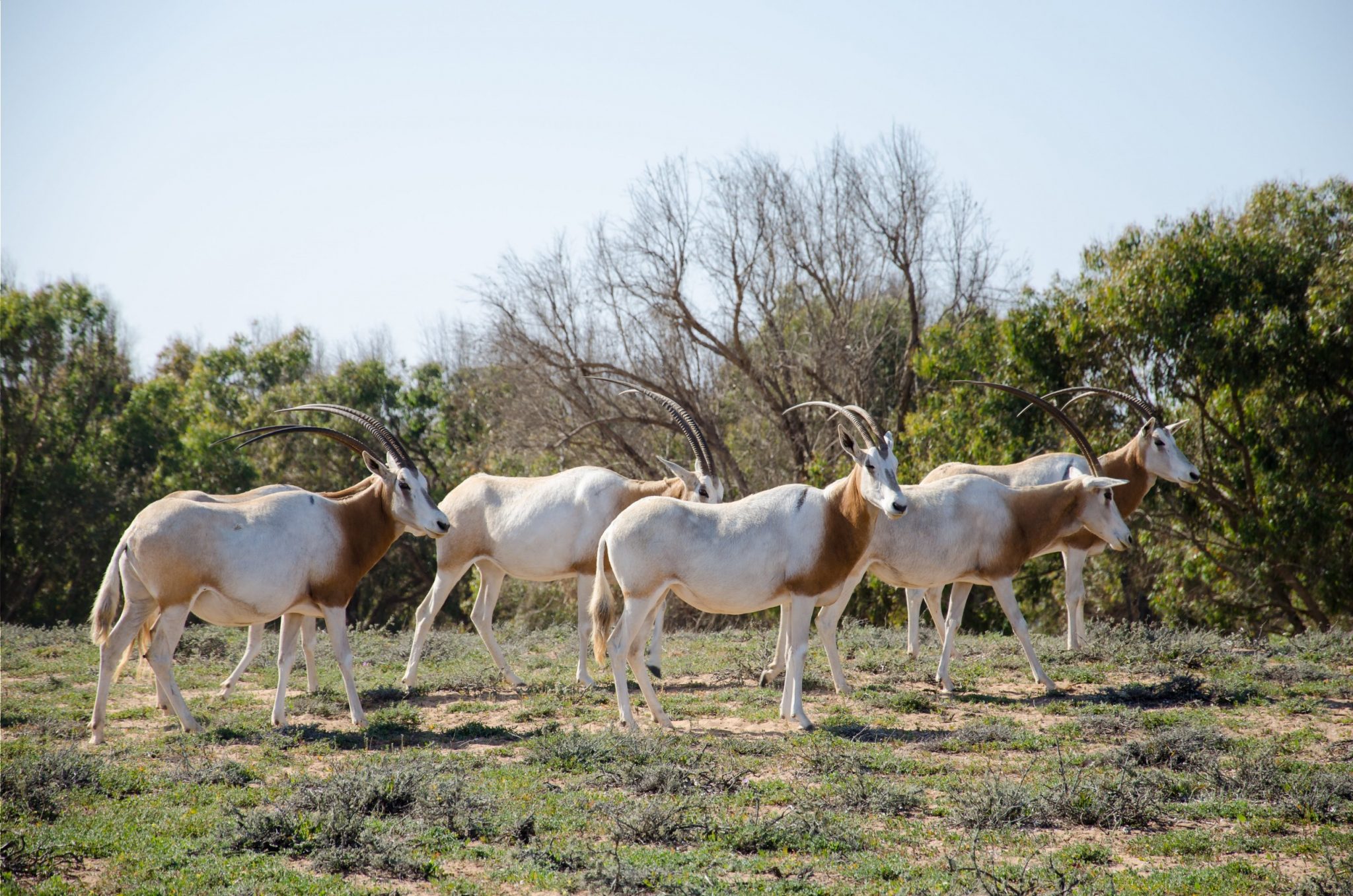 souss_massa_national_park-2048x1357.jpg